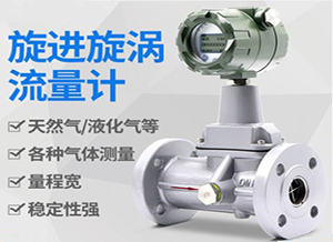dn125旋進(jìn)旋渦流量計